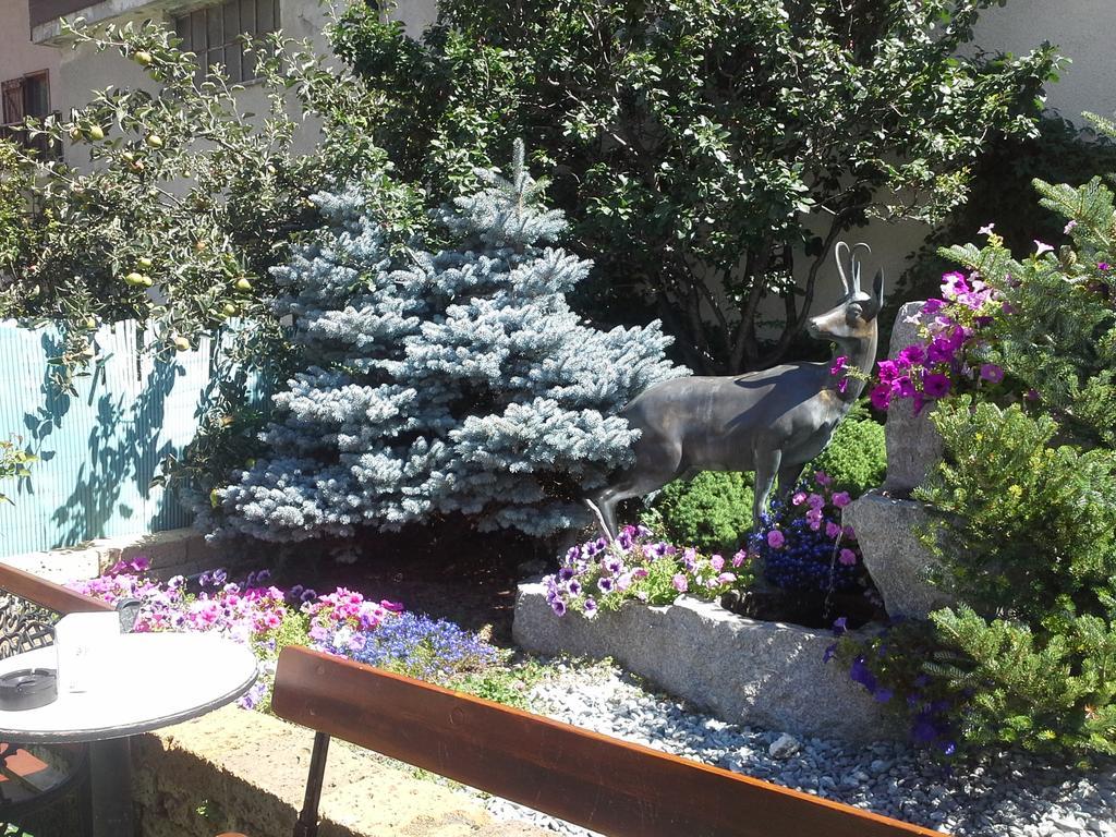 Alice Affittacamere Cesana Torinese Εξωτερικό φωτογραφία